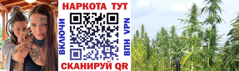 Купить закладку Балей Гашиш Каннабис Alpha PVP Меф мяу мяу Кокаин