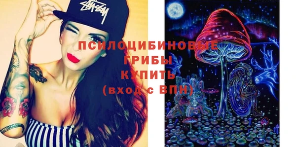 ешки Аркадак