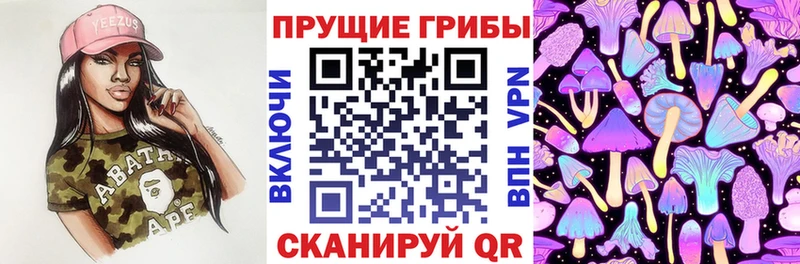 Псилоцибиновые грибы Psilocybine cubensis  Балей 